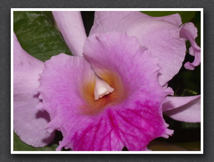 P1170845