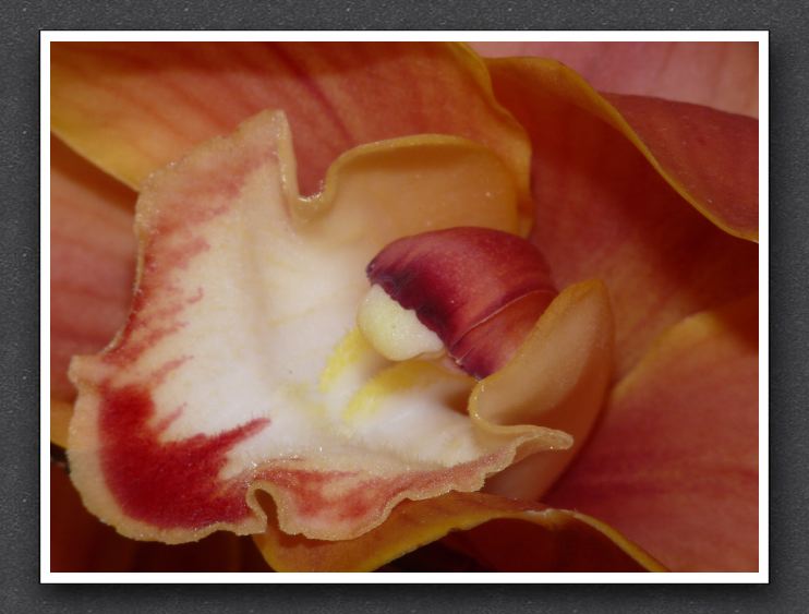 P1170938