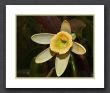 fotocommunity