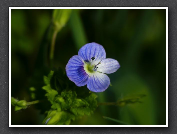 P1180485