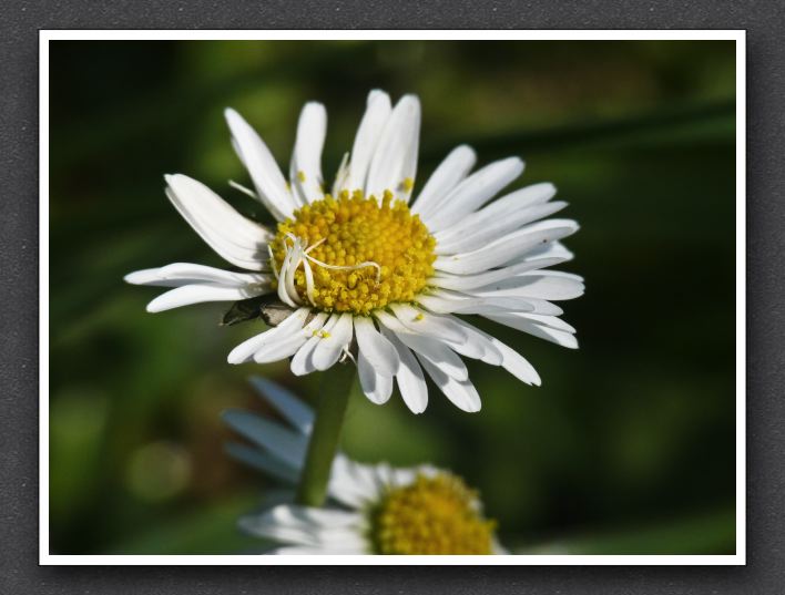L1100214