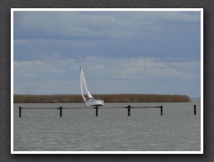 L1130072