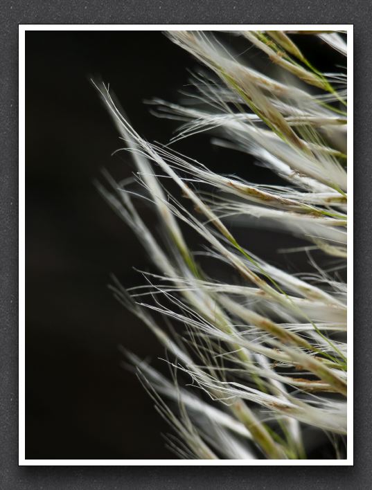 P1160847