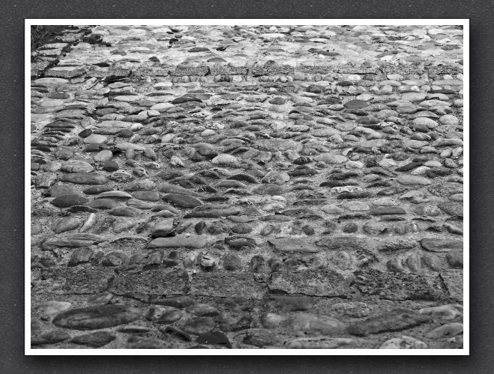 P1160870_sw
