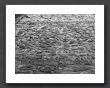 P1160870_sw