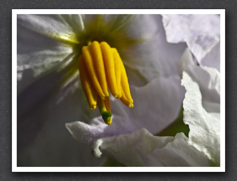 0027