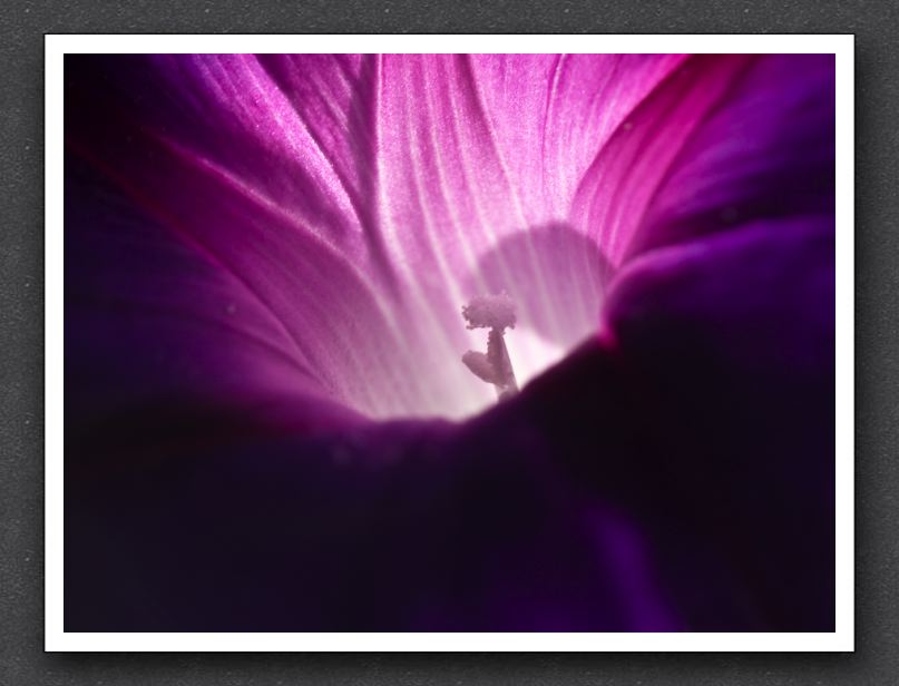 0028